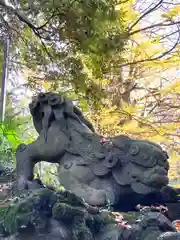 赤坂氷川神社の狛犬