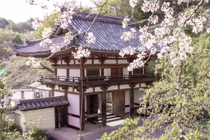 岡寺(龍蓋寺)(奈良県)
