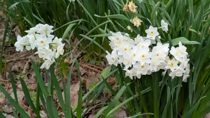 惠心院(京都府)