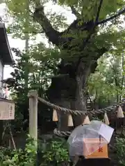 溝口神社の建物その他