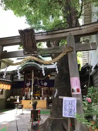 少彦名神社の鳥居