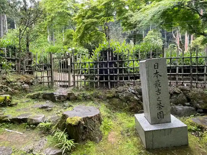 高山寺(京都府)