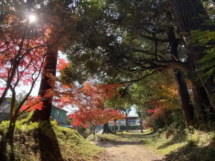 高田神社(茨城県)