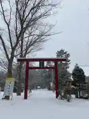 多賀神社の鳥居