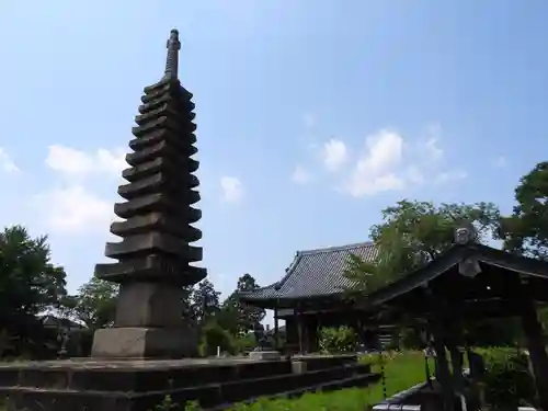 般若寺 ❁﻿コスモス寺❁(奈良県)