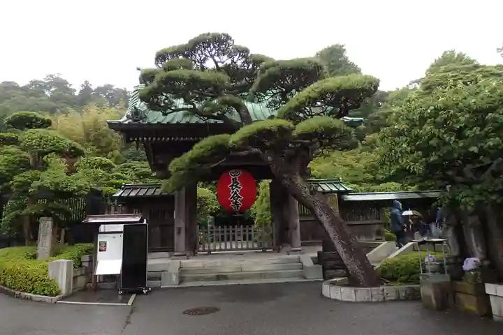 長谷寺の山門・神門