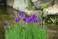 東行庵(山口県)