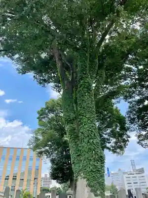 善導寺(福島県)