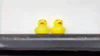 眞福寺(真福寺)(京都府)