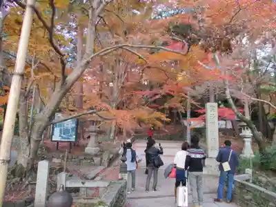 毘沙門堂門跡の周辺