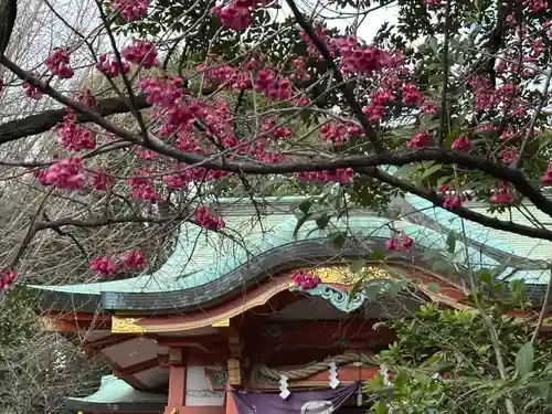 芝東照宮の自然