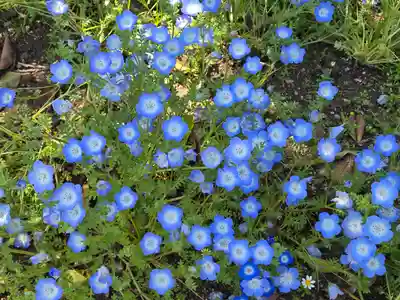 水天宮神社(大阪府)