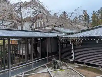 福智院(和歌山県)