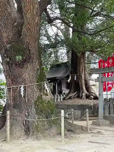 諏訪神社(東京都)