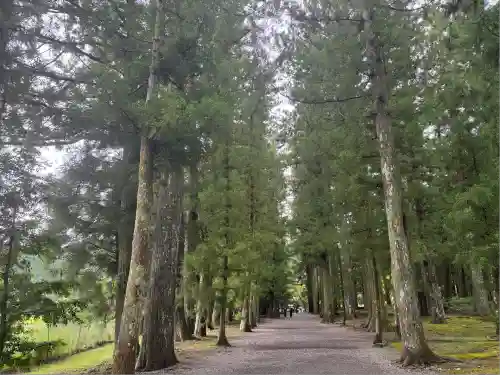 大斎原（熊野本宮大社旧社地）(和歌山県)