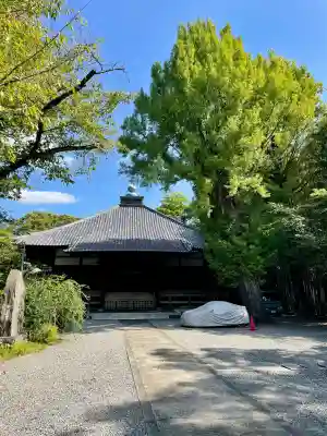 妙光院(東京都)