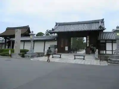 妙心寺（妙心禅寺）の山門・神門