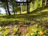 大山祇神社の鳥居