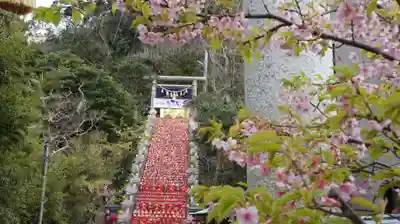 遠見岬神社(千葉県)