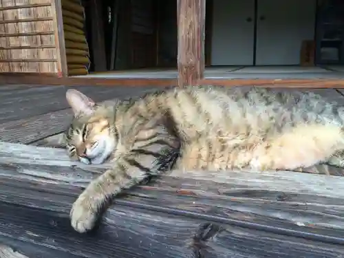 富貴寺(大分県)