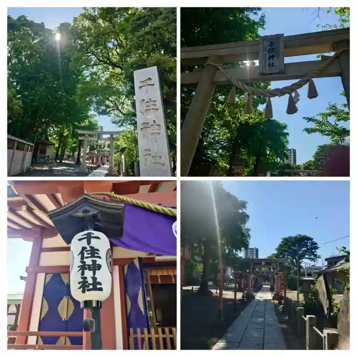 千住神社の{uncategorized: "未分類", other: "その他", undefined: "問題あり", building: "その他建物", grave: "お墓", sacred_gate: "鳥居", guardian: "狛犬", statue: "像", buddha: "仏像", history: "歴史", nature: "自然", garden: "庭園", animal: "動物", pagoda: "塔", temizu: "手水舎", mountain_gate: "山門・神門", sanctuary: "本殿・本堂", subordinate: "末社・摂社", art: "芸術", scenery: "景色", jizo: "地蔵", ema: "絵馬", goshuin: "御朱印", omikuji: "おみくじ", items: "授与品その他", amulet: "お守り", goshuincho: "御朱印帳", eats: "食事", festival: "お祭り", votive_dance: "神楽", shichigosan: "七五三参", wedding: "結婚式", experience: "体験その他", initially: "初詣", around: "周辺", anti_infection: "感染症対策"}