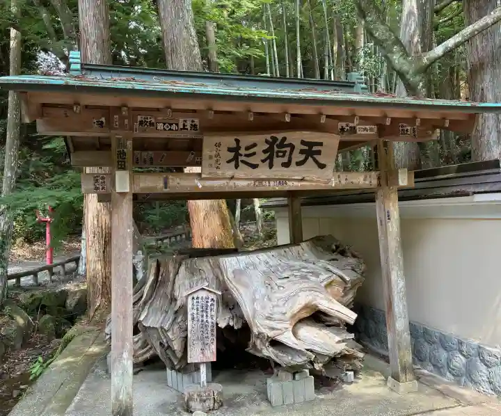 目の霊山 油山寺(静岡県)