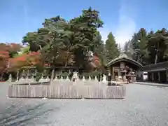 盛岡八幡宮の自然