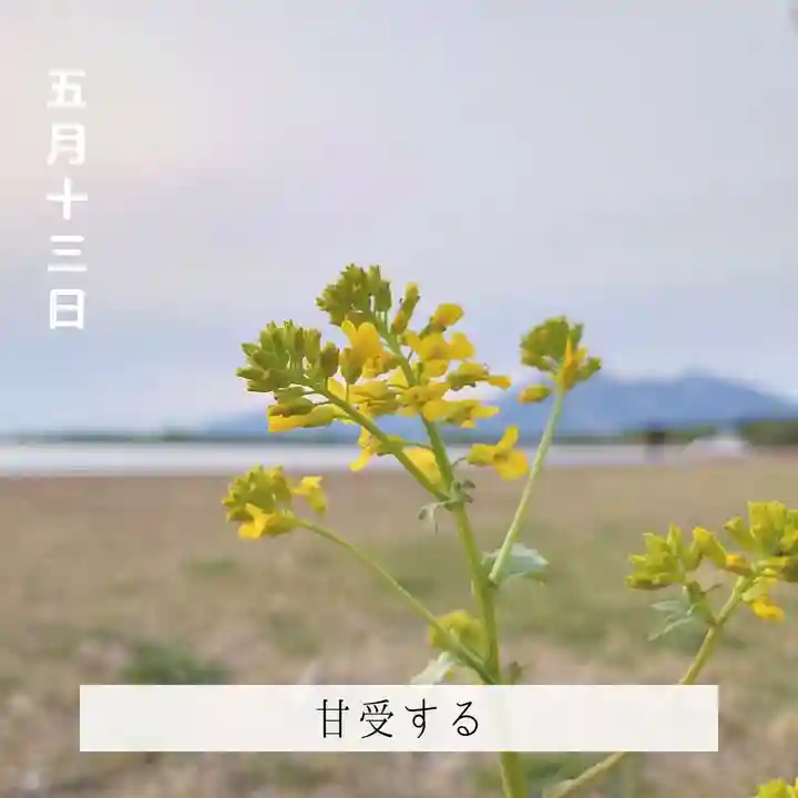 壽徳寺 じゅとくじの自然