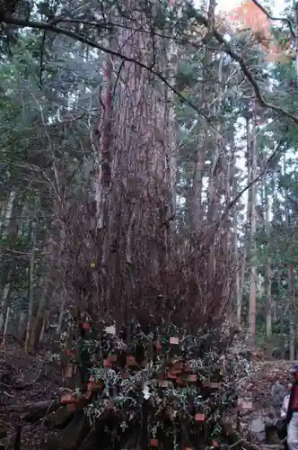 貴船神社の自然