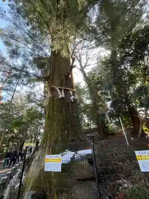 高尾山薬王院(東京都)
