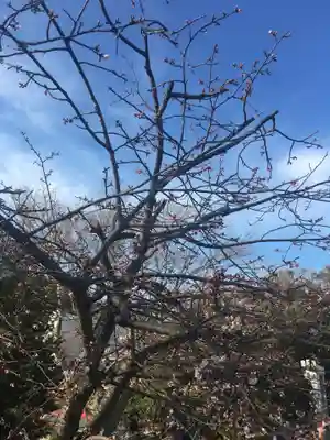 鶴岡八幡宮(神奈川県)
