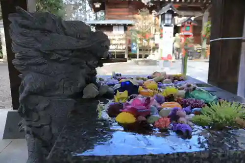 滑川神社 - 仕事と子どもの守り神の手水舎