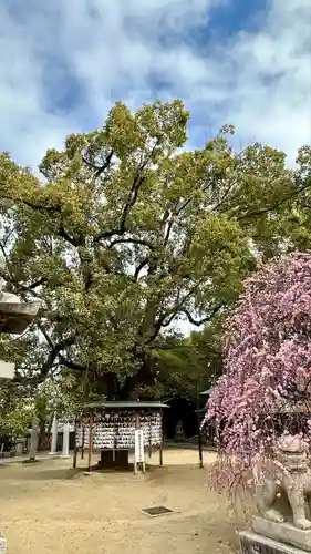 屯倉神社(大阪府)