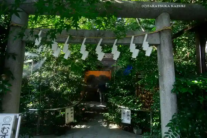 川越熊野神社の鳥居