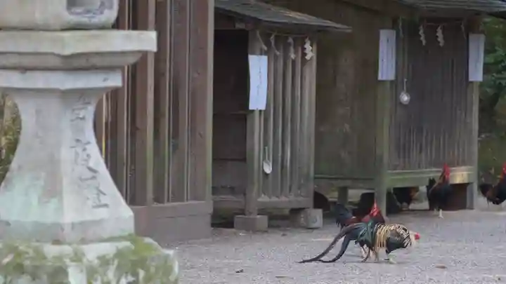 石上神宮(奈良県)