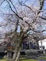 妙経寺(福井県)