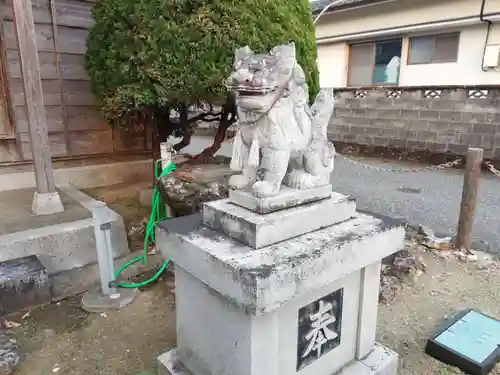 蛭子神社（戎野）の狛犬