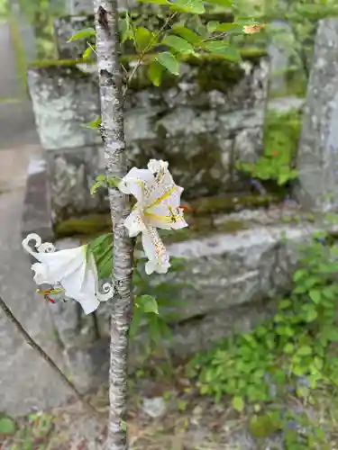山中諏訪神社(山梨県)