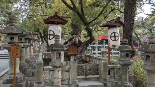 住吉大社の自然