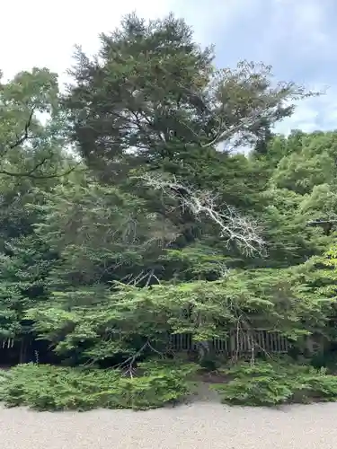 阿波神社(徳島県)