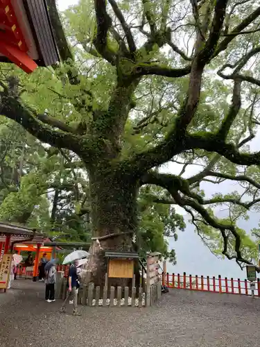 熊野那智大社(和歌山県)