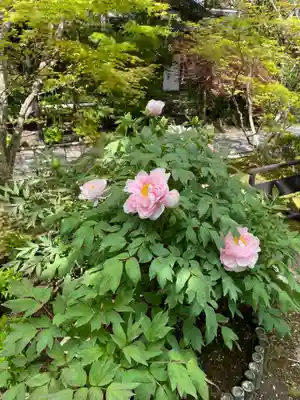 円通院(宮城県)