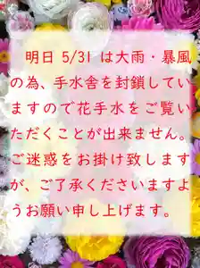 伊達神社(北海道)(2022年05月30日(月) 21時18分04秒投稿)