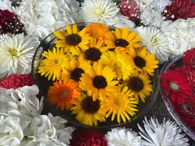 新川皇大神社の手水舎