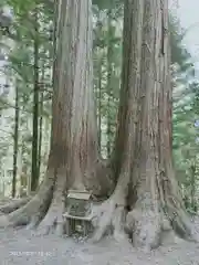 三峯神社の自然