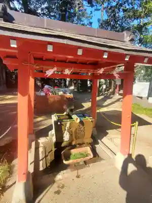 開運招福 飯玉神社(群馬県)