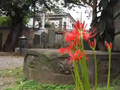 新井薬師（梅照院）のその他建物