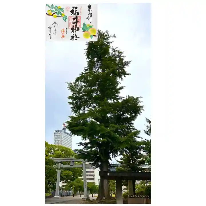 福井神社(福井県)