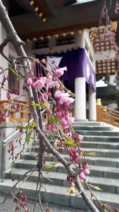 烈々布神社の自然