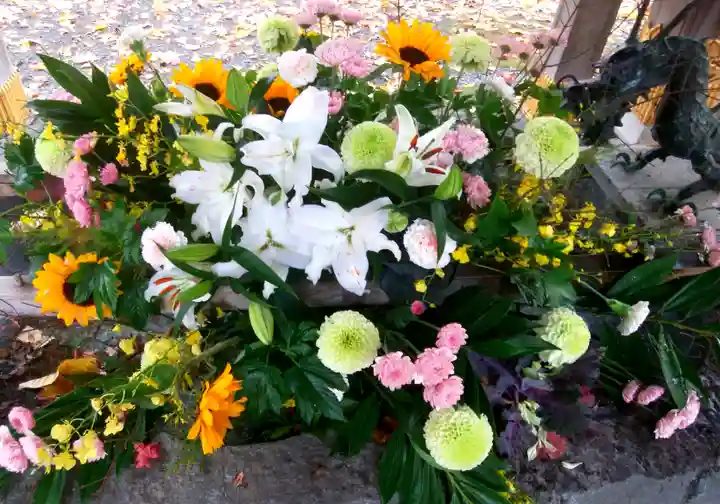 彌彦神社 (伊夜日子神社)の手水舎